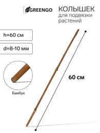 Бамбуковая опора для растений (палка) h- 60см d-8-10мм Greengo 9150370