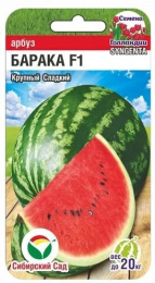 Арбуз Барака F1 3шт. цветной пакет Сибирский сад