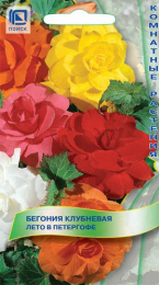 Бегония Лето в Петергофе клубневая 15шт. цветной пакет Поиск
