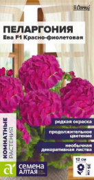 Пеларгония Ева красно-фиолетовая F1 зональная 3шт. цветной пакет Семена Алтая