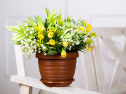 Горшок для цветов пластиковый Толедо с поддоном 17,4л d-36см h-27см терракот 5plast 5PL0738