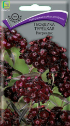 Гвоздика турецкая (бородатая) Нигриканс 0,3г цветной пакет Поиск