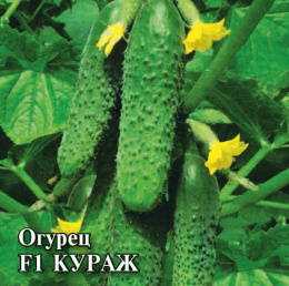 Огурец Кураж F1  250шт. фермерский пакет Гавриш