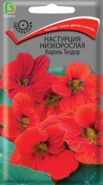 Настурция Король Теодор низкорослая 1г цветной пакет Поиск