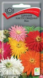 Цинния Кактусовидная Микс 0,4г цветной пакет Поиск