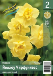Нарцисс Уайт Чирфулнесс  2шт. Эконом Colorline