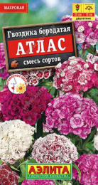 Гвоздика турецкая (бородатая) Атлас махровая смесь сортов 0,1г цветной пакет Аэлита