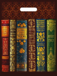 Пакет подарочный ПВД 30х40см 50мкм Книги ПВ3040КНИ