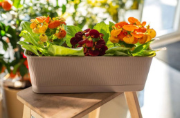 Ящик для цветов балконный пластиковый  40х17х13см Прованс с поддоном 6л, фраппе 5plast 5PL0341