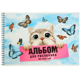 Альбом для рисования 40 листов Мечта кота, гребень 11040