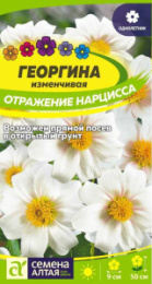 Георгина Отражение Нарцисса 0,2г цветной пакет Семена Алтая