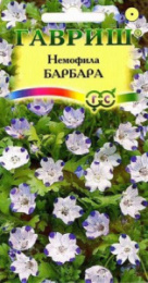 Немофила Барбара пятнистая 0,3г цветной пакет Гавриш