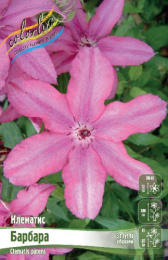 Клематис Барбара 2шт. Colorline