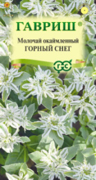Молочай Горный снег окаймленный 0,5г цветной пакет Гавриш