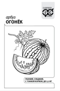 Арбуз Огонек  1г белый пакет Гавриш