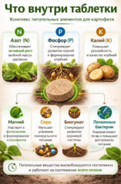 Удобрение для картофеля Картофельная формула 80 таблеток органоминеральное Биотехнологии ФР-04201