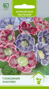 Глоксиния Жаклин 5шт. цветной пакет Поиск
