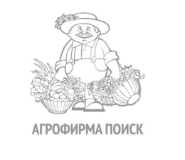 Свекла Мулатка  3г белый пакет, увеличенный размер Поиск