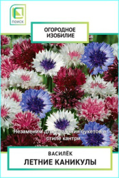 Василек Летние каникулы 1г цветной пакет серия Огородное изобилие Поиск