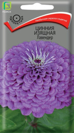 Цинния Лавендер изящная 0,4г цветной пакет Поиск