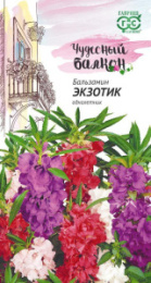 Бальзамин Экзотик карликовый 0,1г цветной пакет серия Чудесный балкон Гавриш