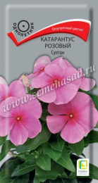 Катарантус розовый Султан 0,1г цветной пакет Поиск