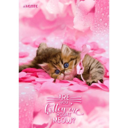 Папка-уголок А4 Devente 150мкм, с рисунком Right Meow 3074918