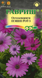 Остеоспермум Пэшн роуз 3шт. цветной пакет Гавриш