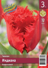 Тюльпан Индиана  3шт. Эконом Colorline
