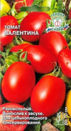 Томат Валентина 0,05г цветной пакет Седек