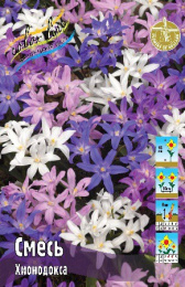 Хионодокса Смесь 10шт. Colorline