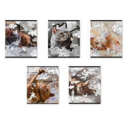 Тетрадь  48 листов ErichKrause Dream Cat Mix-Pack, пластиковая обложка 54161