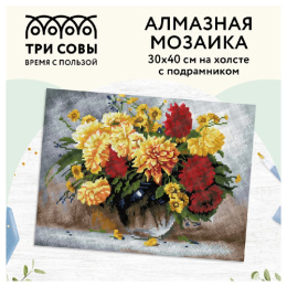 Алмазная мозаика на подрамнике 30х40см Астры Три совы АМП3040_47585