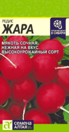 Редис Жара   2г цветной пакет Семена Алтая