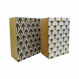 Пакет подарочный бумажный 40х56х18см Радужный Дом РД21920