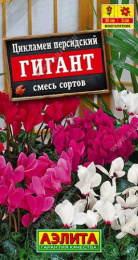 Цикламен Гигант, смесь сортов персидский 3шт. цветной пакет Аэлита