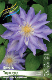 Клематис Тирислунд 2шт. Colorline