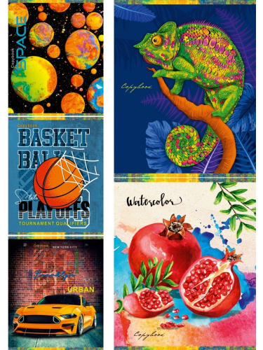 Тетрадь  48 листов Микс 48-6050