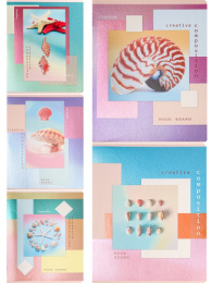 Тетрадь  48 листов Морская тема 48-4421