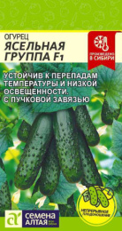 Огурец Ясельная группа F1 5шт. цветной пакет Семена Алтая