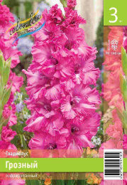 Гладиолус Грозный 10/12 3шт. Эконом Colorline