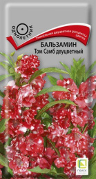 Бальзамин Том Самб двуцветный 0,1г цветной пакет Поиск