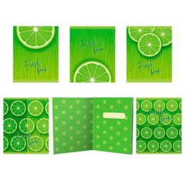 Тетрадь  48 листов Лаймовый фреш Sev 13507/5