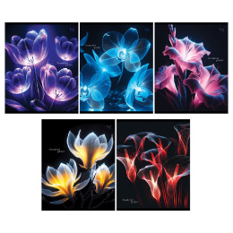 Тетрадь  48 листов линейка BG Чудесный сад Т5ск48 63528