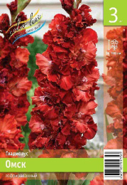 Гладиолус Омск 10/12 3шт. Эконом Colorline
