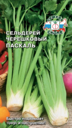 Сельдерей черешковый Паскаль 0,5г цветной пакет Седек