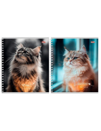 Тетрадь  96 листов Пушистые котики-1, гребень Т96-4852