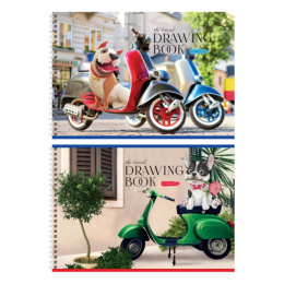 Альбом для рисования 40 листов BG Хвостатый гонщик, гребень А4ГР40 12483