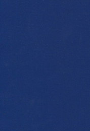 Тетрадь  48 листов бумвинил синий 96-9538