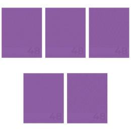Тетрадь  48 листов Сиреневый 15018/5
